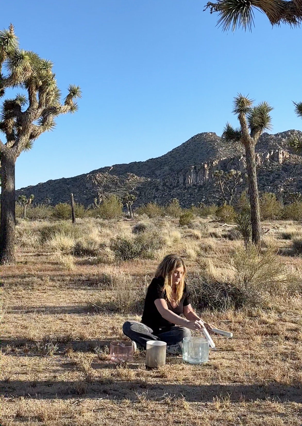 sound bath in joshua tree california