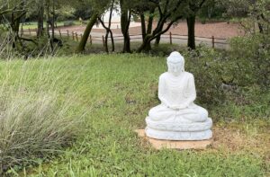 Buddha Statue at Spirit Rock